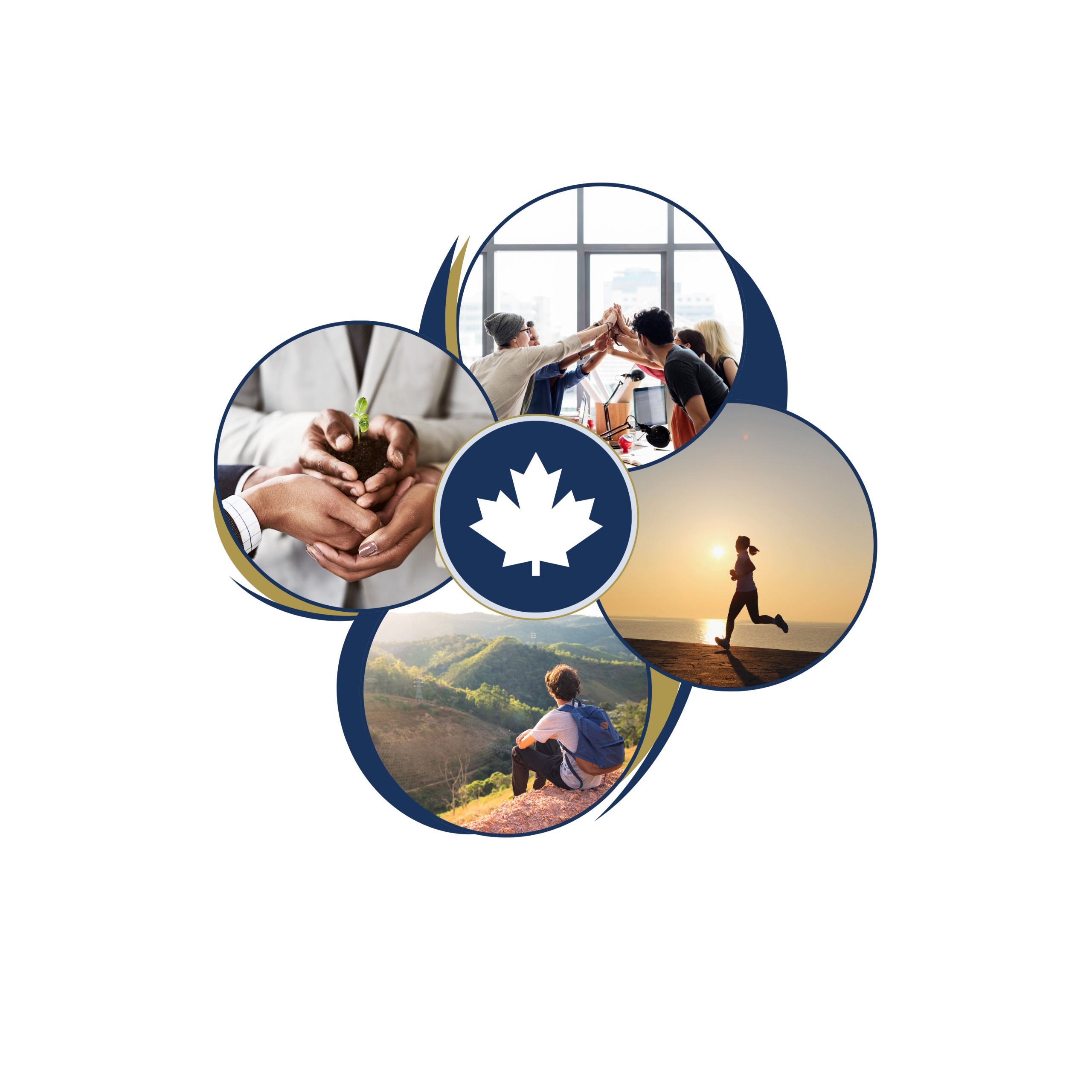 CHWM Web Image (1)